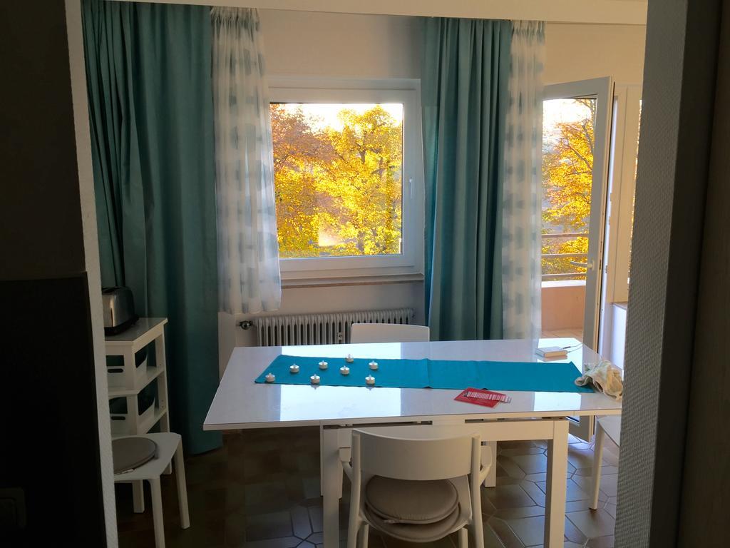 Ferienwohnung Suedpark Apartment - Bad Nauheim Eksteriør billede